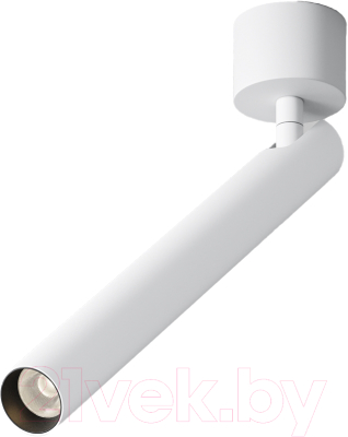 Спот Maytoni Ceiling C141CL-L300-6W3K-W - фото