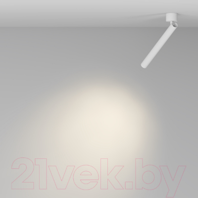 Спот Maytoni Ceiling C141CL-L300-6W3K-W