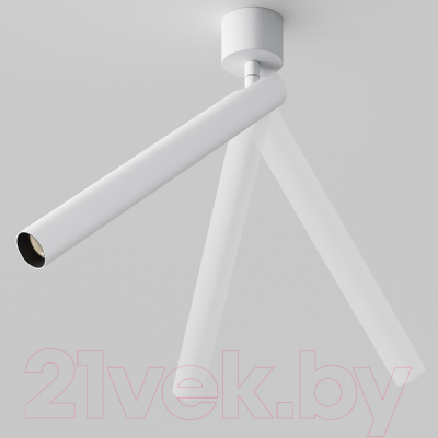 Спот Maytoni Ceiling C141CL-L300-6W3K-W