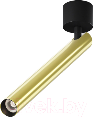 Спот Maytoni Ceiling C141CL-L300-6W3K-BBS - фото