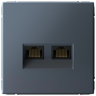 Розетка Systeme Electric ArtGallery GAL000788 - фото