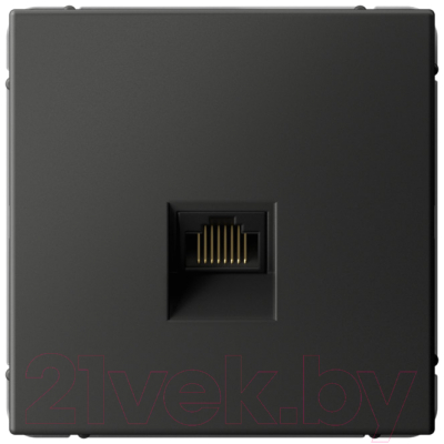 Розетка Systeme Electric ArtGallery GAL001486 - фото