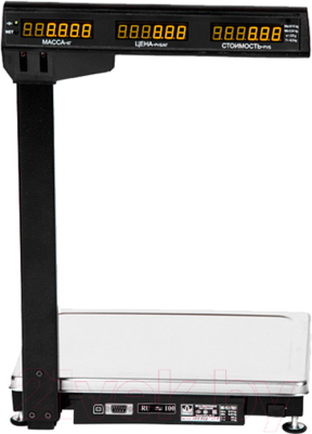 Весы платформенные Масса-К МК-15.2-ТВ21 RS/USB - фото
