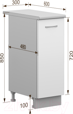 Шкаф-стол кухонный Кортекс-мебель Корнелия Лира НШ30р