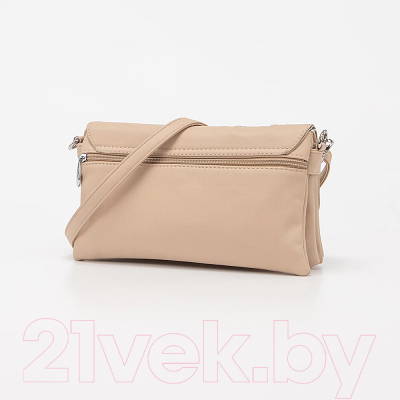 Сумка Passo Avanti 855-509-BEG