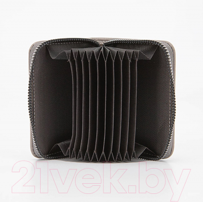 Визитница Passo Avanti 519-973-28-LGR