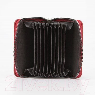 Визитница Passo Avanti 519-973-28-RED
