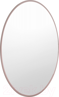 Зеркало Saniteco 1P10 60