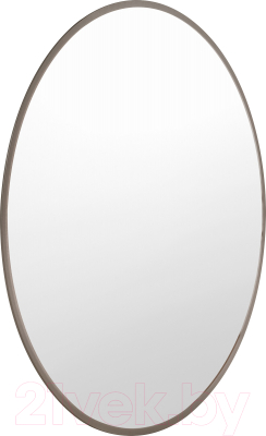 Зеркало Saniteco 1N10 50