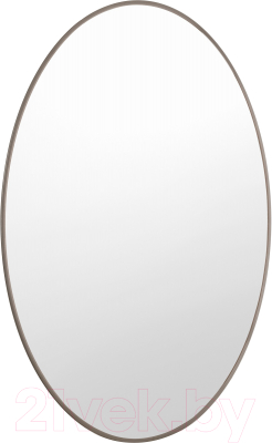 Зеркало Saniteco 1N10 100