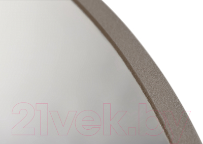 Зеркало Saniteco 1N10 100