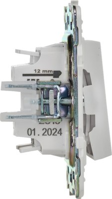 Выключатель IEK Skandy SK-V22-0-10-K01