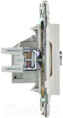 Розетка IEK Skandy SK-A10-O-K01