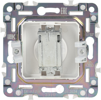 Розетка IEK Skandy SK-A10-O-K01
