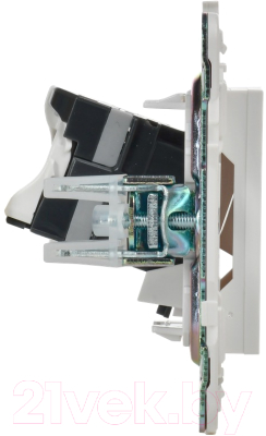 Розетка IEK Skandy SK-AK20-1-K01