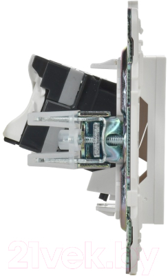 Розетка IEK Skandy SK-K10-1-K01