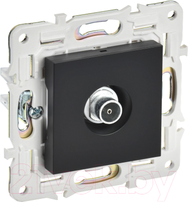 Розетка IEK Skandy SK-A10-O-K02 - фото