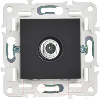 Розетка IEK Skandy SK-A10-O-K02