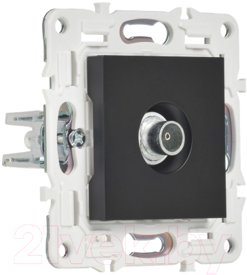 Розетка IEK Skandy SK-A10-O-K02