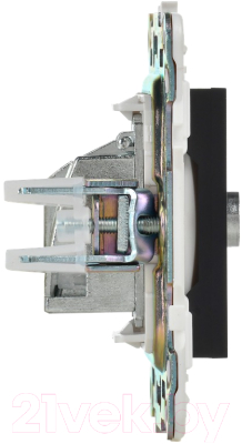 Розетка IEK Skandy SK-A10-O-K02