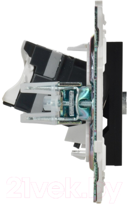 Розетка IEK Skandy SK-AK20-1-K02