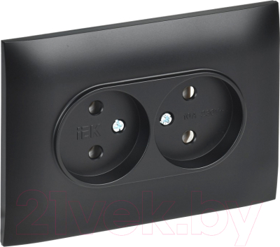 Розетка IEK Skandy SK-R20-10-K02-F - фото