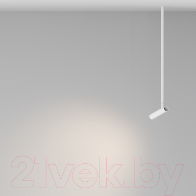 Потолочный светильник Maytoni Pendant P141RS-L125-6W3K-W