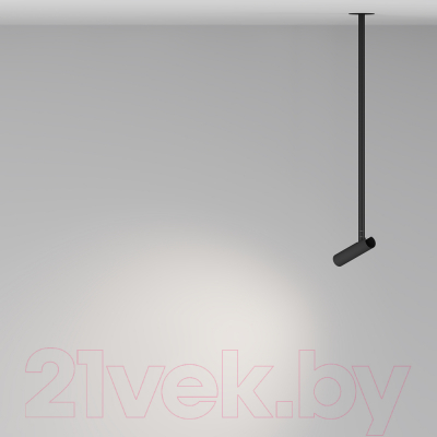 Потолочный светильник Maytoni Pendant P141RS-L125-6W4K-B