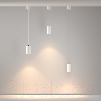 Люстра Maytoni Pendant P100PL-20W3K-W