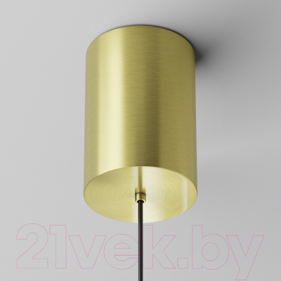 Люстра Maytoni Pendant P076PL-L12W3K-BS