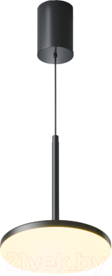 Люстра Maytoni Pendant P076PL-L12W3K-B - фото