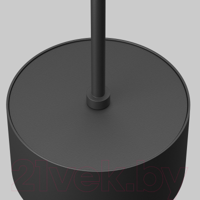 Люстра Maytoni P102PL-12W4K-B