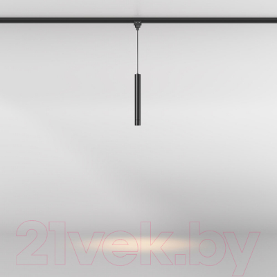 Светильник уличный Maytoni Focus O-TR01-1-P-8WB3K