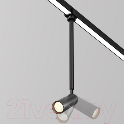 Светильник уличный Maytoni Focus O-TR01-2-P-8WB3K