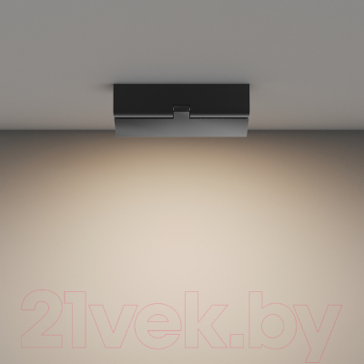 Люстра Maytoni Ceiling C133CL-12W3K-B