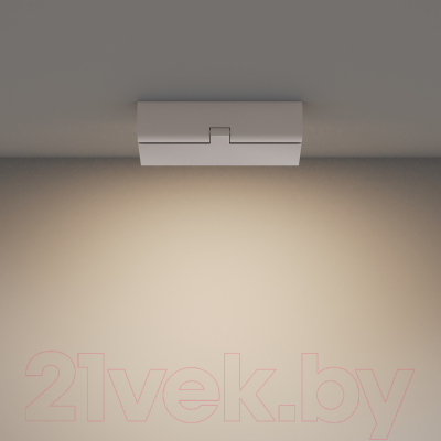 Люстра Maytoni Ceiling C133CL-12W3K-W