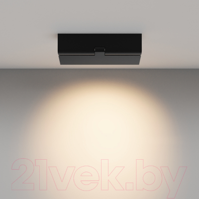 Люстра Maytoni Ceiling C136CL-12W3K-B