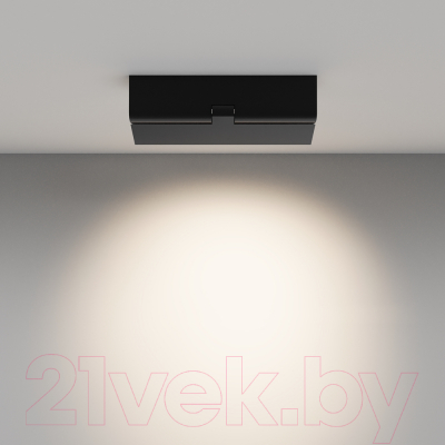 Люстра Maytoni Ceiling C136CL-12W4K-B