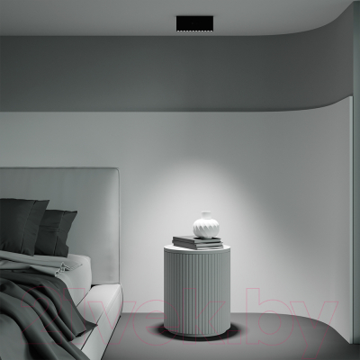 Люстра Maytoni Ceiling C136CL-12W4K-B