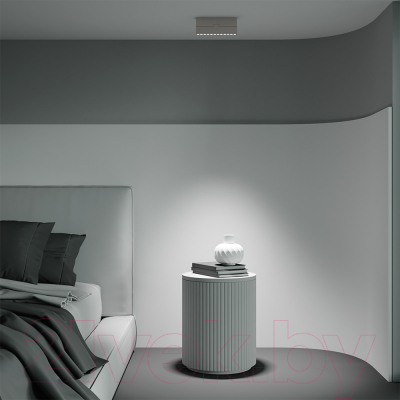 Люстра Maytoni Ceiling C136CL-12W3K-W