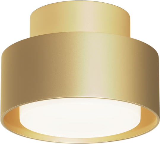 Точечный светильник Maytoni Ceiling C092CL-GX53-MG - фото