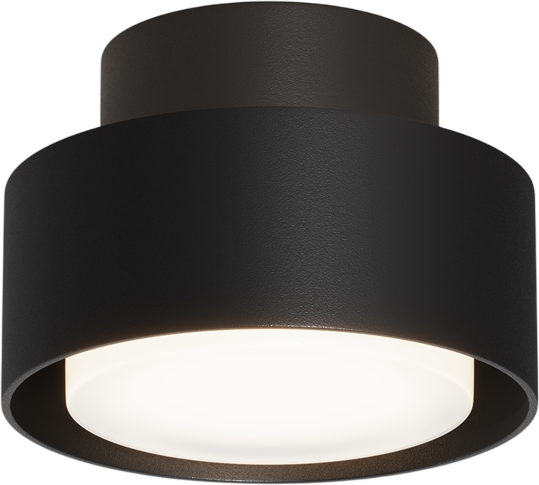 Потолочный светильник Maytoni Ceiling C092CL-GX53-B - фото