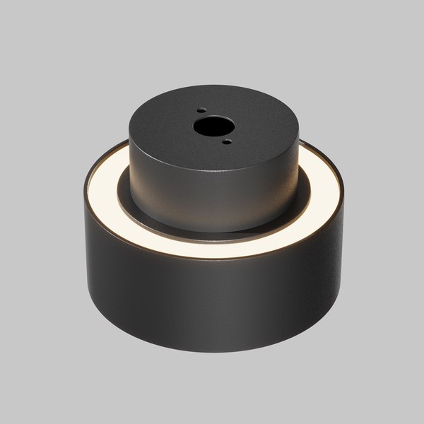 Потолочный светильник Maytoni Ceiling C092CL-GX53-B