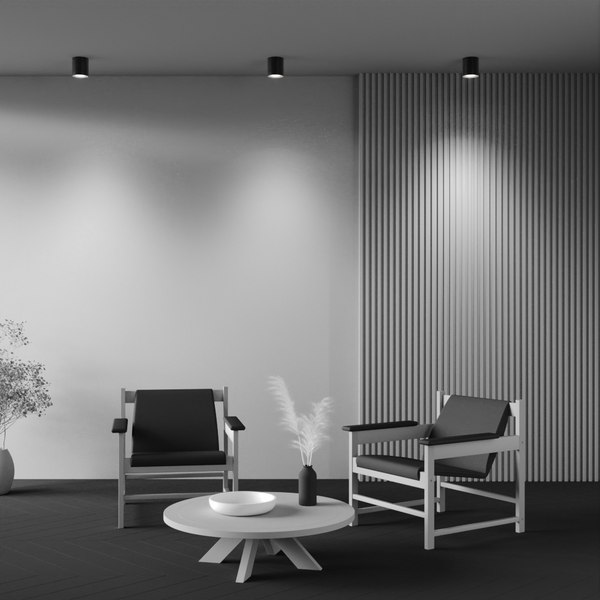 Светильник Maytoni Ceiling C094-GU10-B