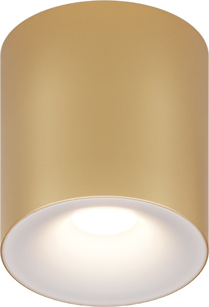 Светильник Maytoni Ceiling C094-GU10-MG - фото