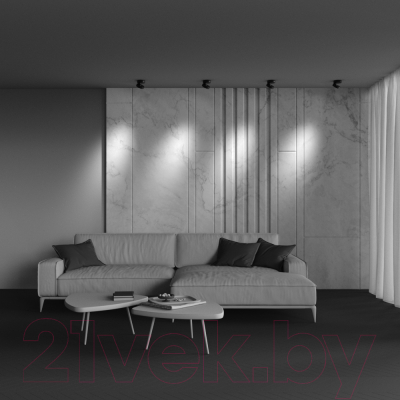 Спот Maytoni Ceiling C022CL-12W4K-B-1