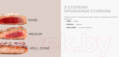 Электрогриль Redmond SteakMaster GM300 (серый/металл)