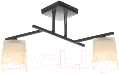 Потолочный светильник Aitin-Pro НПБ 02-2x60-101 / N5956/2 - фото