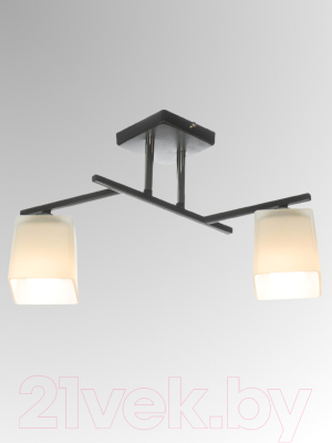Потолочный светильник Aitin-Pro НПБ 02-2x60-101 / N5956/2