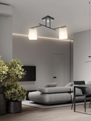 Потолочный светильник Aitin-Pro НПБ 02-2x60-101 / N5956/2